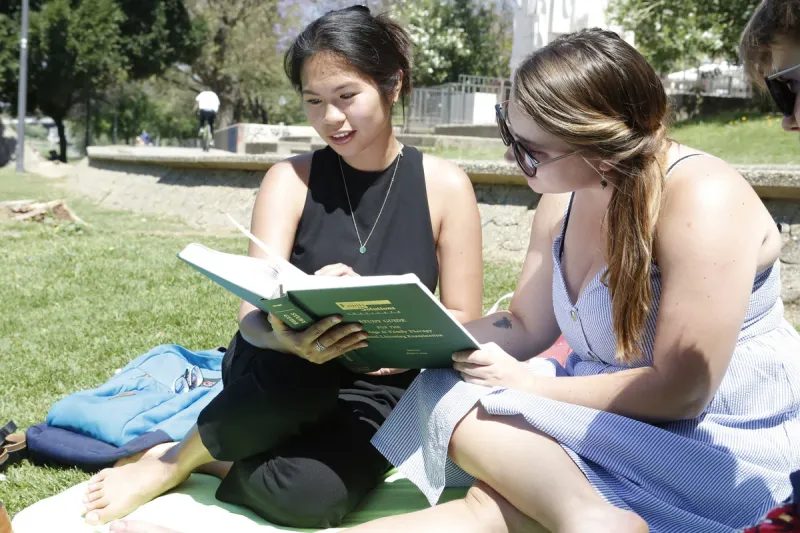 Students reading the Big Green Book Family Solutions Institute study guide Students reading the Big Green Book Family Solutions Institute study guide